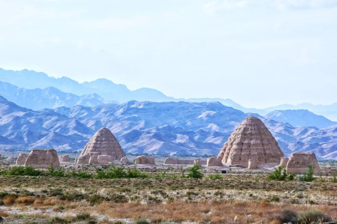 宁夏绿色崛起，生态经济新标杆打造纪实